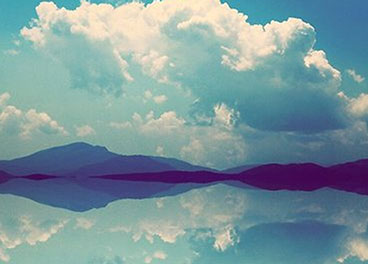 呼死你在线使用